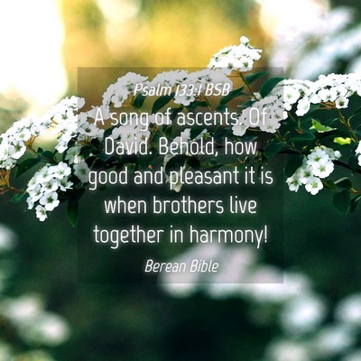 Picture 04 - Psalm 133:1 BSB - A song of ascents. Of David. Behold, how good and - Bible Verse Picture