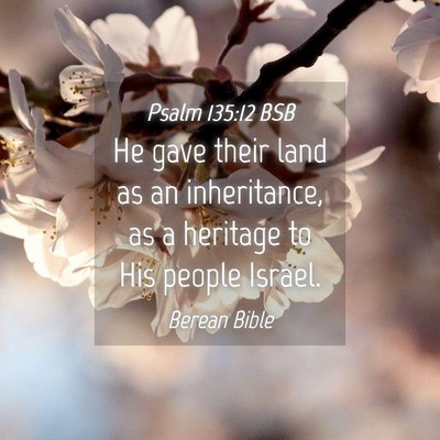 Picture 04 - Psalm 135:12 BSB - He gave their land as an inheritance, as a - Bible Verse Picture