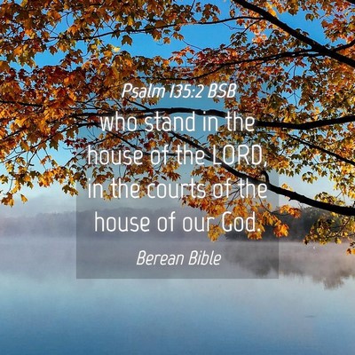 Picture 04 - Psalm 135:2 BSB - who stand in the house of the LORD, in the courts - Bible Verse Picture