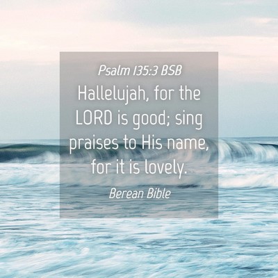 Picture 04 - Psalm 135:3 BSB - Hallelujah, for the LORD is good; sing praises to - Bible Verse Picture