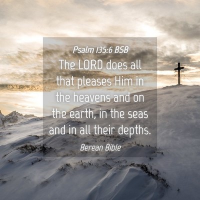 Picture 04 - Psalm 135:6 BSB - The LORD does all that pleases Him in the heavens - Bible Verse Picture