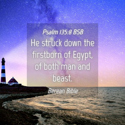 Picture 04 - Psalm 135:8 BSB - He struck down the firstborn of Egypt, of both - Bible Verse Picture