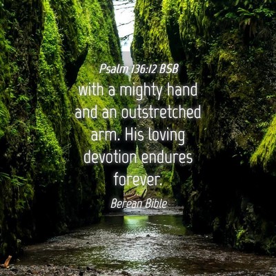 Picture 04 - Psalm 136:12 BSB - with a mighty hand and an outstretched arm. His - Bible Verse Picture