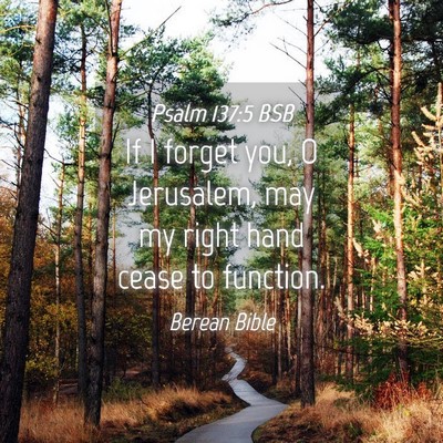 Picture 04 - Psalm 137:5 BSB - If I forget you, O Jerusalem, may my right hand - Bible Verse Picture