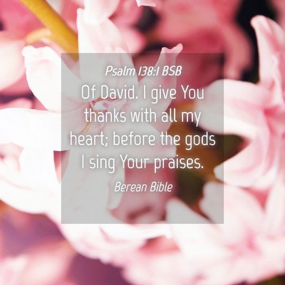 Picture 04 - Psalm 138:1 BSB - Of David. I give You thanks with all my heart; - Bible Verse Picture