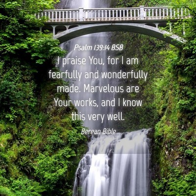 Picture 04 - Psalm 139:14 BSB - I praise You, for I am fearfully and wonderfully - Bible Verse Picture