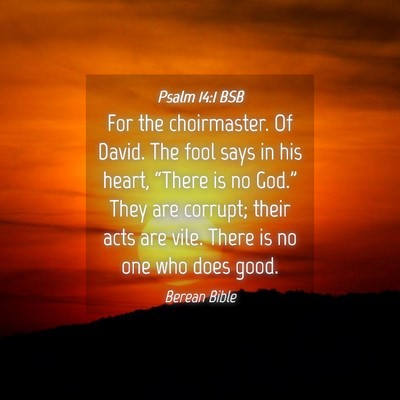 Picture 04 - Psalm 14:1 BSB - For the choirmaster. Of David. The fool says in - Bible Verse Picture