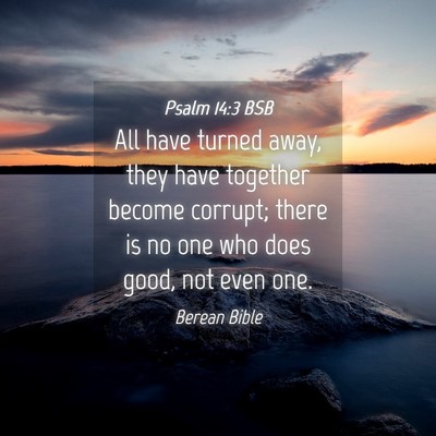 Picture 04 - Psalm 14:3 BSB - All have turned away, they have together become - Bible Verse Picture