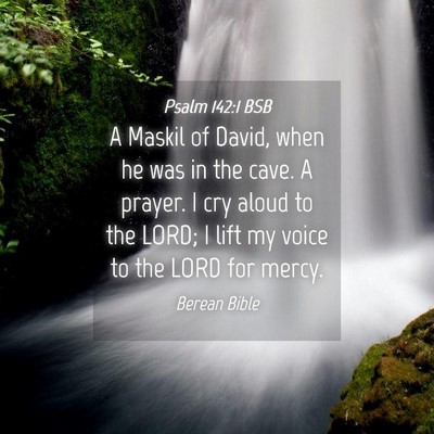 Picture 04 - Psalm 142:1 BSB - A Maskil of David, when he was in the cave. A - Bible Verse Picture
