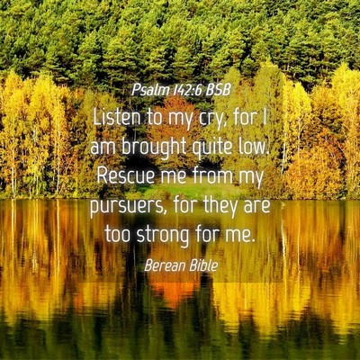Picture 04 - Psalm 142:6 BSB - Listen to my cry, for I am brought quite low. - Bible Verse Picture