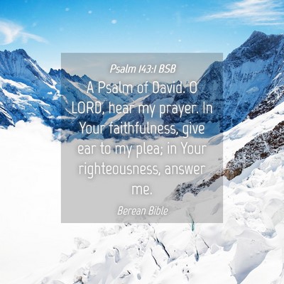 Picture 04 - Psalm 143:1 BSB - A Psalm of David. O LORD, hear my prayer. In Your - Bible Verse Picture