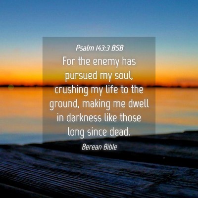 Picture 04 - Psalm 143:3 BSB - For the enemy has pursued my soul, crushing my - Bible Verse Picture