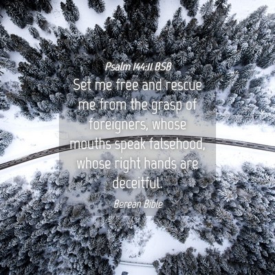 Picture 04 - Psalm 144:11 BSB - Set me free and rescue me from the grasp of - Bible Verse Picture