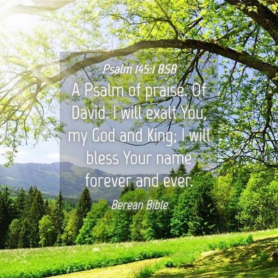 Picture 04 - Psalm 145:1 BSB - A Psalm of praise. Of David. I will exalt You, my - Bible Verse Picture