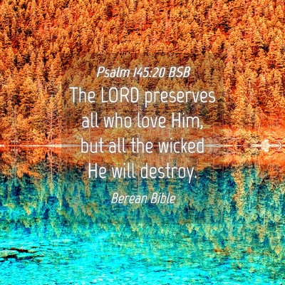 Picture 04 - Psalm 145:20 BSB - The LORD preserves all who love Him, but all the - Bible Verse Picture
