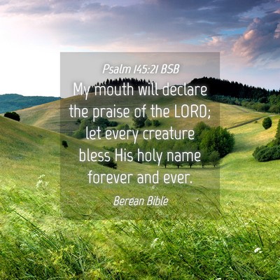 Picture 04 - Psalm 145:21 BSB - My mouth will declare the praise of the LORD; let - Bible Verse Picture