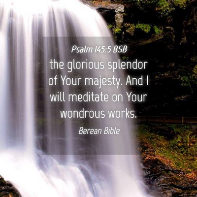 Picture 04 - Psalm 145:5 BSB - the glorious splendor of Your majesty. And I will - Bible Verse Picture