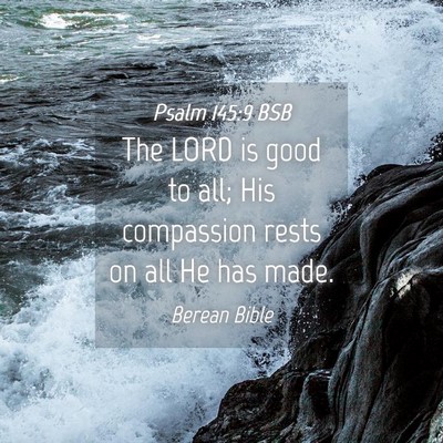 Picture 04 - Psalm 145:9 BSB - The LORD is good to all; His compassion rests on - Bible Verse Picture