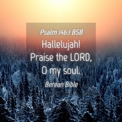 Picture 04 - Psalm 146:1 BSB - Hallelujah! Praise the LORD, O my - Bible Verse Picture