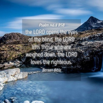 Picture 04 - Psalm 146:8 BSB - the LORD opens the eyes of the blind, the LORD - Bible Verse Picture