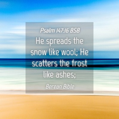 Picture 04 - Psalm 147:16 BSB - He spreads the snow like wool; He scatters the - Bible Verse Picture