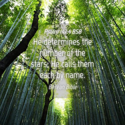 Picture 04 - Psalm 147:4 BSB - He determines the number of the stars; He calls - Bible Verse Picture
