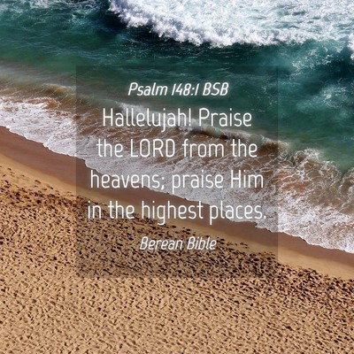Picture 04 - Psalm 148:1 BSB - Hallelujah! Praise the LORD from the heavens; - Bible Verse Picture