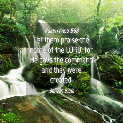 Picture 04 - Psalm 148:5 BSB - Let them praise the name of the LORD, for He gave - Bible Verse Picture