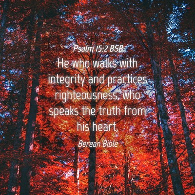 Picture 04 - Psalm 15:2 BSB - He who walks with integrity and practices - Bible Verse Picture