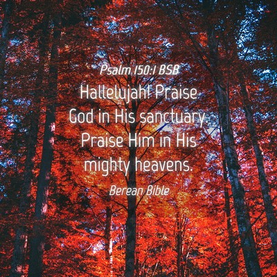 Picture 04 - Psalm 150:1 BSB - Hallelujah! Praise God in His sanctuary. Praise - Bible Verse Picture