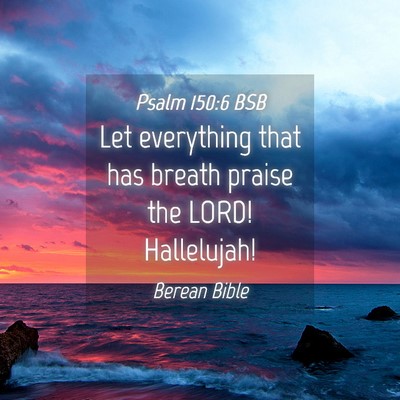 Picture 04 - Psalm 150:6 BSB - Let everything that has breath praise the LORD! - Bible Verse Picture