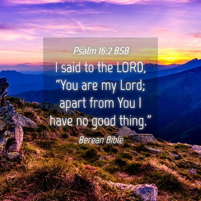 Picture 04 - Psalm 16:2 BSB - I said to the LORD, “You are my Lord; apart - Bible Verse Picture