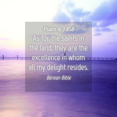 Picture 04 - Psalm 16:3 BSB - As for the saints in the land, they are the - Bible Verse Picture