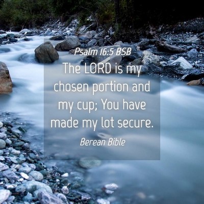 Picture 04 - Psalm 16:5 BSB - The LORD is my chosen portion and my cup; You - Bible Verse Picture