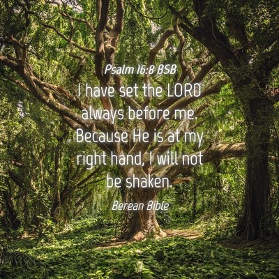 Picture 04 - Psalm 16:8 BSB - I have set the LORD always before me. Because He - Bible Verse Picture