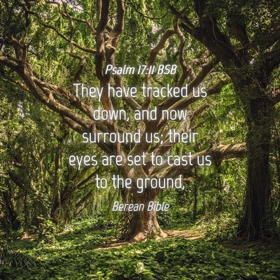 Picture 04 - Psalm 17:11 BSB - They have tracked us down, and now surround us; - Bible Verse Picture