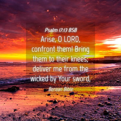 Picture 04 - Psalm 17:13 BSB - Arise, O LORD, confront them! Bring them to their - Bible Verse Picture