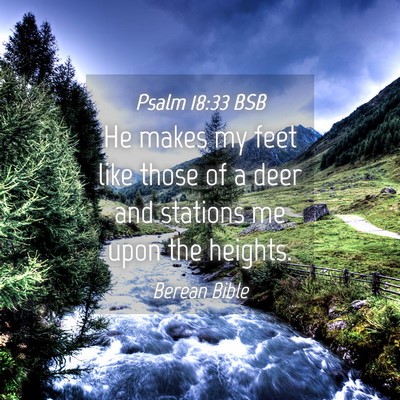 Picture 04 - Psalm 18:33 BSB - He makes my feet like those of a deer and - Bible Verse Picture