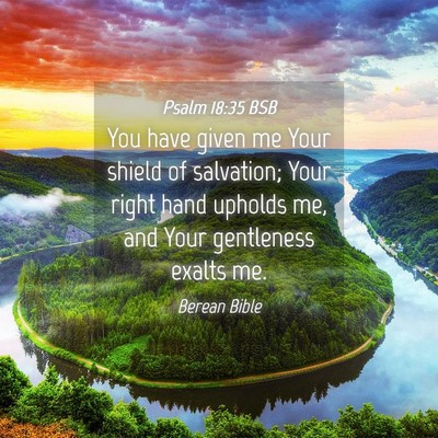 Picture 04 - Psalm 18:35 BSB - You have given me Your shield of salvation; Your - Bible Verse Picture