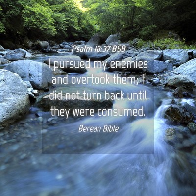 Picture 04 - Psalm 18:37 BSB - I pursued my enemies and overtook them; I did not - Bible Verse Picture