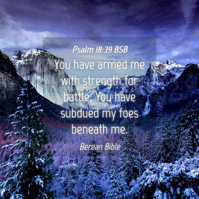 Picture 04 - Psalm 18:39 BSB - You have armed me with strength for battle; You - Bible Verse Picture