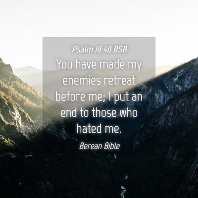 Picture 04 - Psalm 18:40 BSB - You have made my enemies retreat before me; I put - Bible Verse Picture