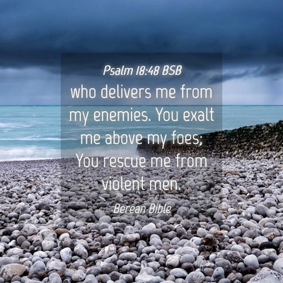 Picture 04 - Psalm 18:48 BSB - who delivers me from my enemies. You exalt me - Bible Verse Picture