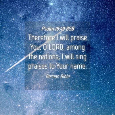Picture 04 - Psalm 18:49 BSB - Therefore I will praise You, O LORD, among the - Bible Verse Picture