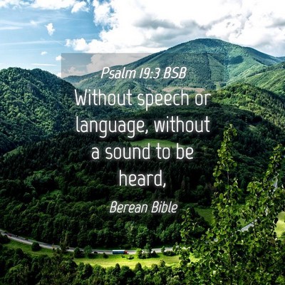 Picture 04 - Psalm 19:3 BSB - Without speech or language, without a sound to be - Bible Verse Picture