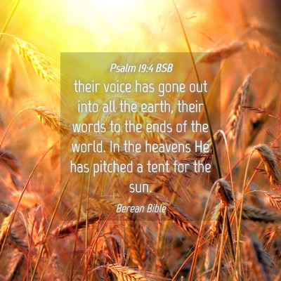 Picture 04 - Psalm 19:4 BSB - their voice has gone out into all the earth, - Bible Verse Picture