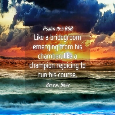 Picture 04 - Psalm 19:5 BSB - Like a bridegroom emerging from his chamber, like - Bible Verse Picture