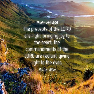 Picture 04 - Psalm 19:8 BSB - The precepts of the LORD are right, bringing joy - Bible Verse Picture
