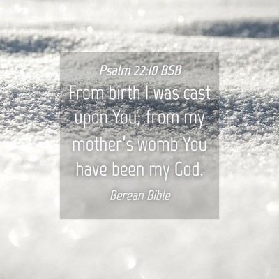 Picture 04 - Psalm 22:10 BSB - From birth I was cast upon You; from my - Bible Verse Picture