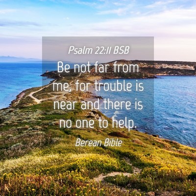 Picture 04 - Psalm 22:11 BSB - Be not far from me, for trouble is near and there - Bible Verse Picture